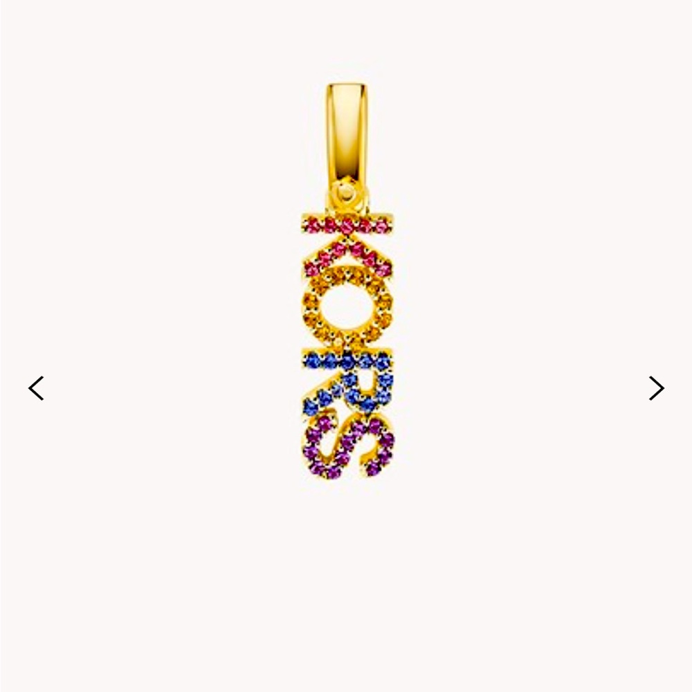 Michael Kors Earrings and Charm